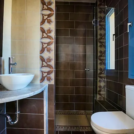 Forget Me Not No 2 Svoronata